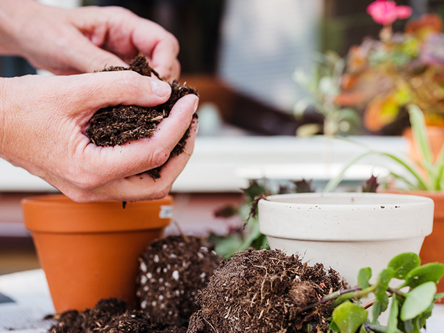 グリーン事業イメージ