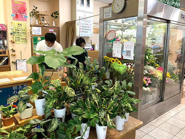 花だより店内