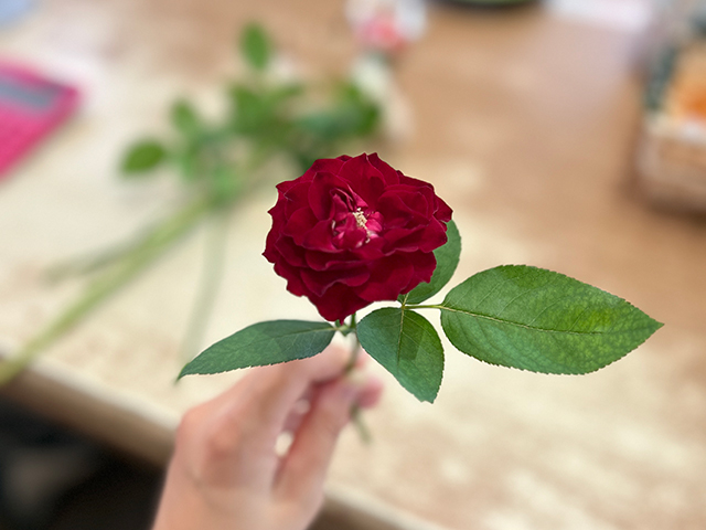 お花選びの様子