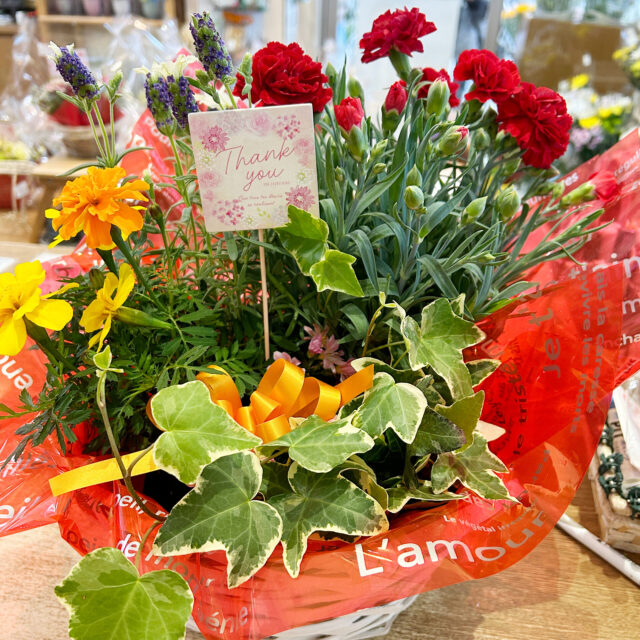 母の日の寄せカゴ