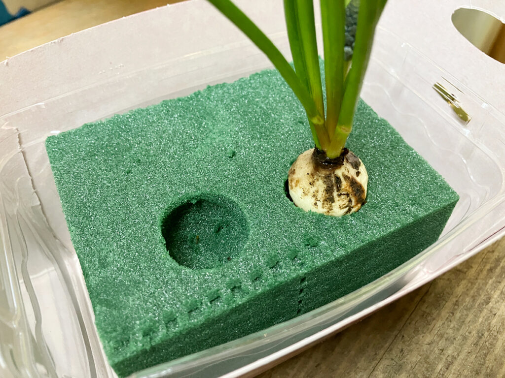 フラワーアレンジメント教室