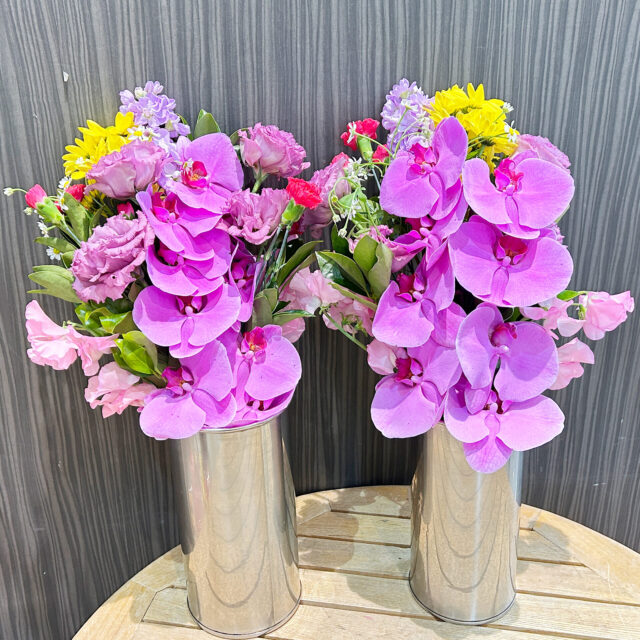 ピンクの胡蝶蘭