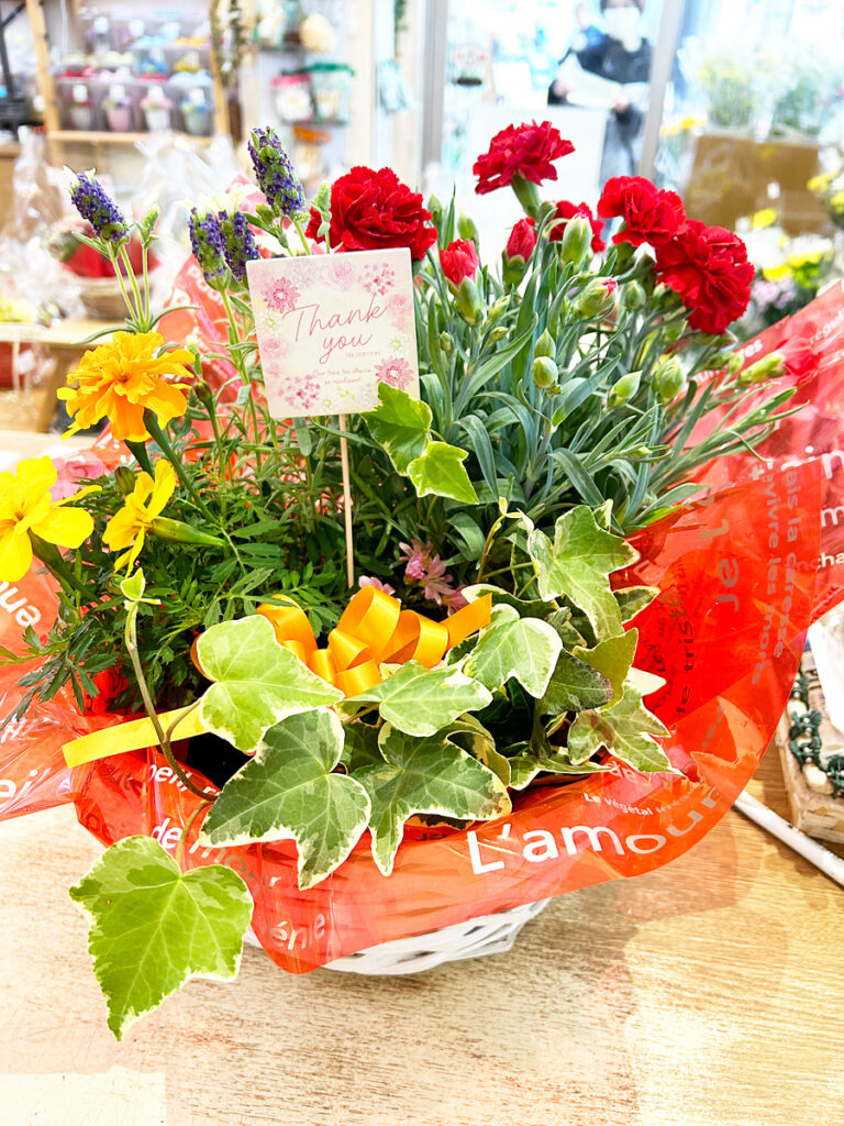 母の日の寄せ植え